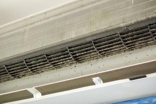 Best Air Quality Test  in Frederickson, WA